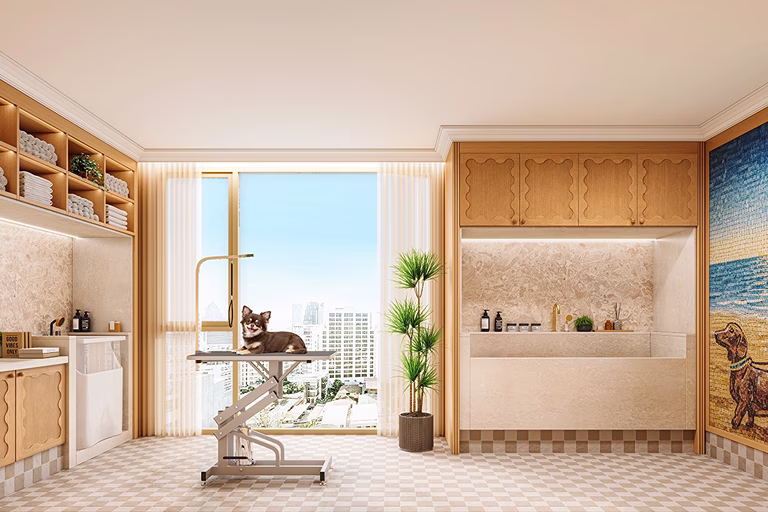Pet Sky Lounge